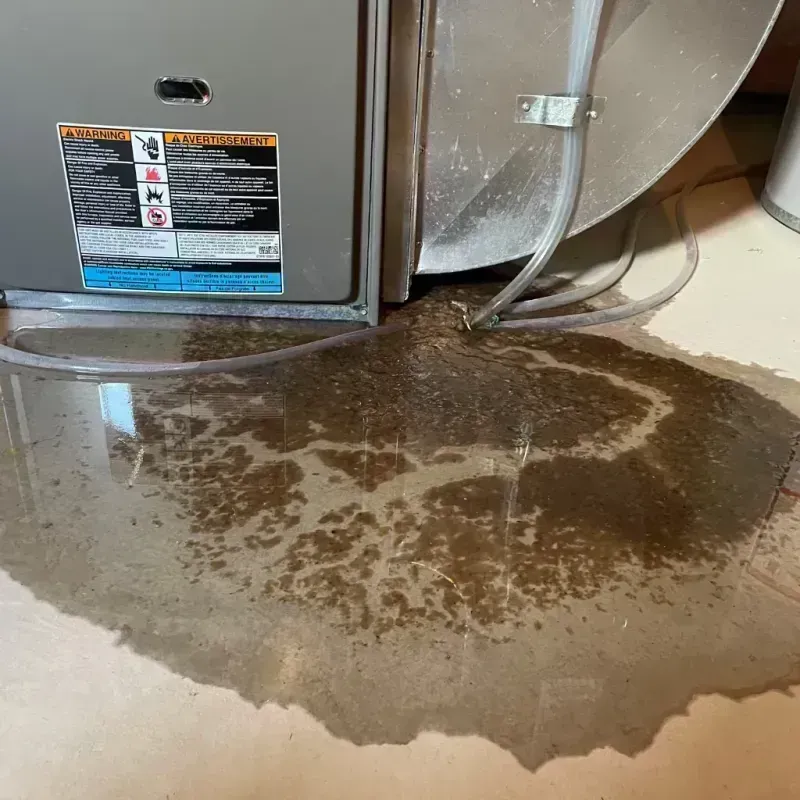 Appliance Leak Cleanup in Mount Sterling, IL